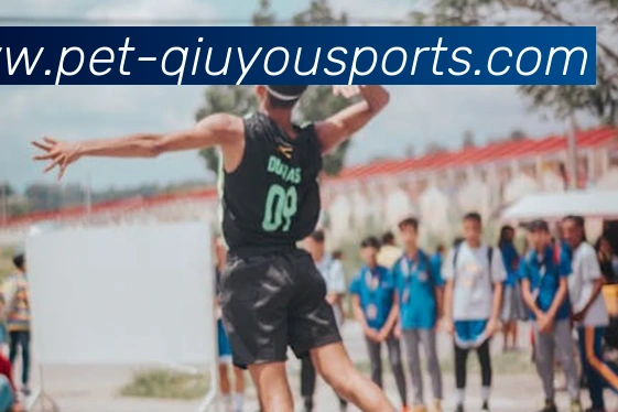 球友体育直播品牌故事